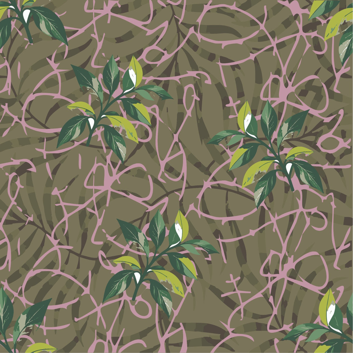 Wild Twist Rose